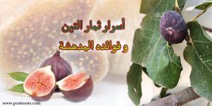 أسرار ثمار التين و فوائده المدهشة 